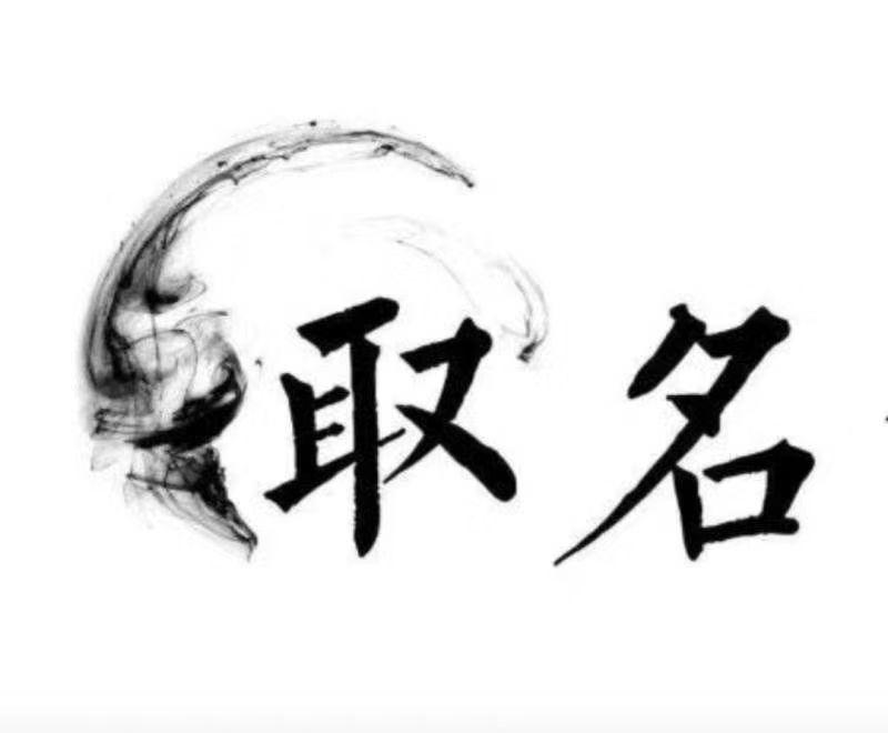  抚宁宝宝取名 大师一对一人工起名